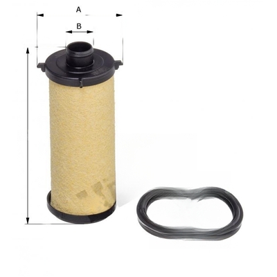 Hengst Oil Filter  - EG910H D454