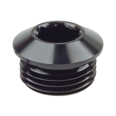 Raceworks An In Hex O-Ring Plug An-6 - RWF-814-06BK