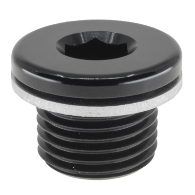 Raceworks M16X1.5 In Hex Plug With Washer - RWF-814-M16-1BK