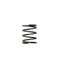 Turbosmart Gen4 / IWG WG38/40/45/50L 7PSI MIDDLE SPRING - BROWN/PURPLE - TS-0505-2003