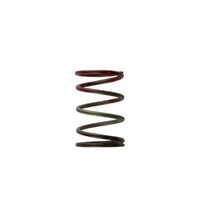 Turbosmart Gen4 / IWG WG38/40/45/50L 11PSI MIDDLE SPRING - BROWN/RED - TS-0505-2004