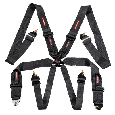 Raceworks Black 6Point FIA Cam Lock Harness, 3In Belts, Snap Hook Ends - VPR-140BK